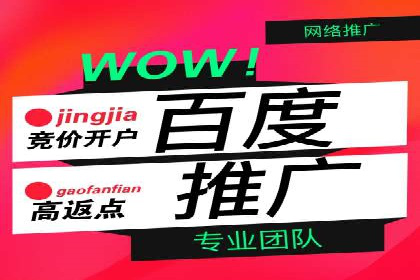 SEM竞价托管代运营助力转化率提升